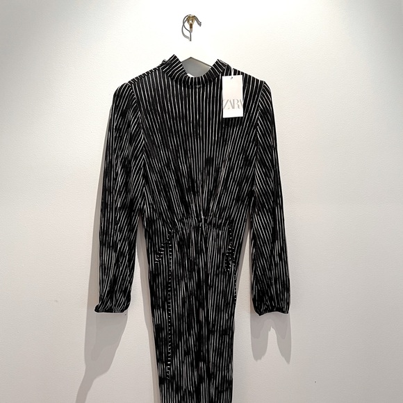 Zara Plisse Dress - Picture 3 of 3